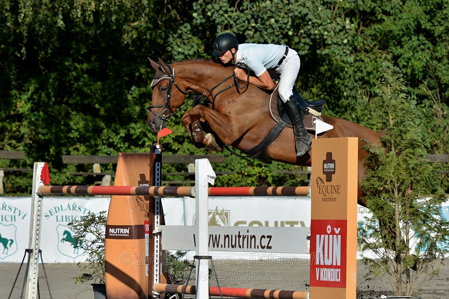 Cena Plzeňského kraje 2016 - Skoková soutěž st. „ST*