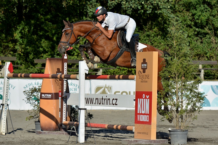 Cena Plzeňského kraje 2016 - Skoková soutěž st. „ST*