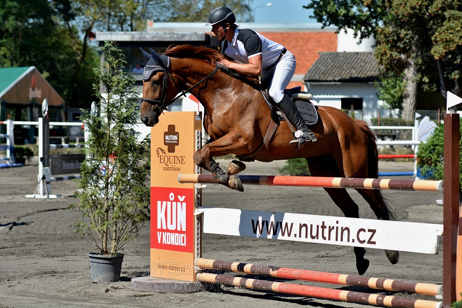 Skoková soutěž na čas - 120 cm