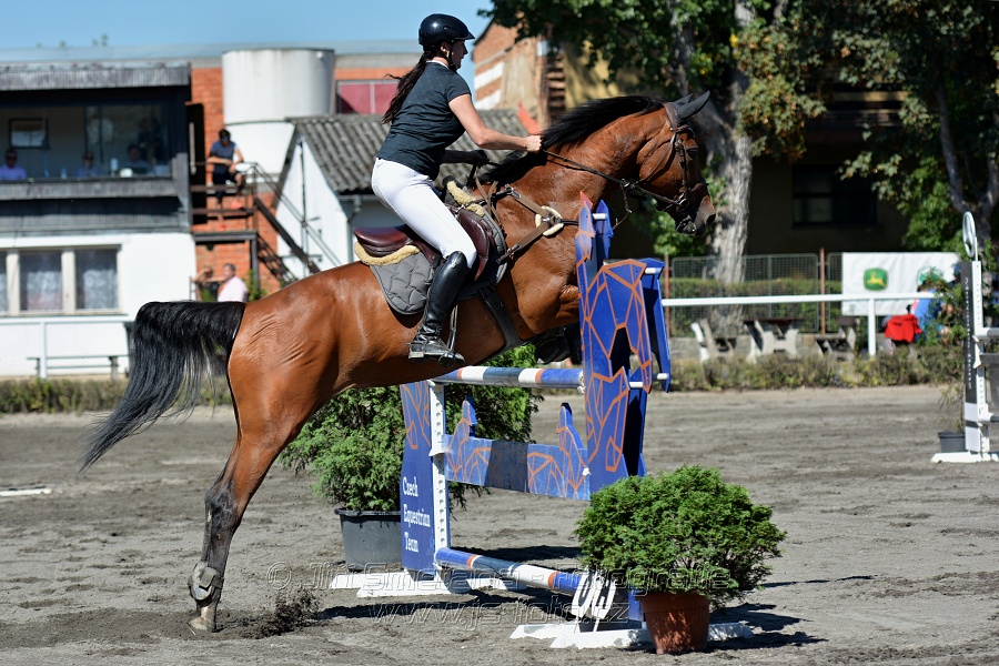 Skoková soutěž na čas - 120 cm