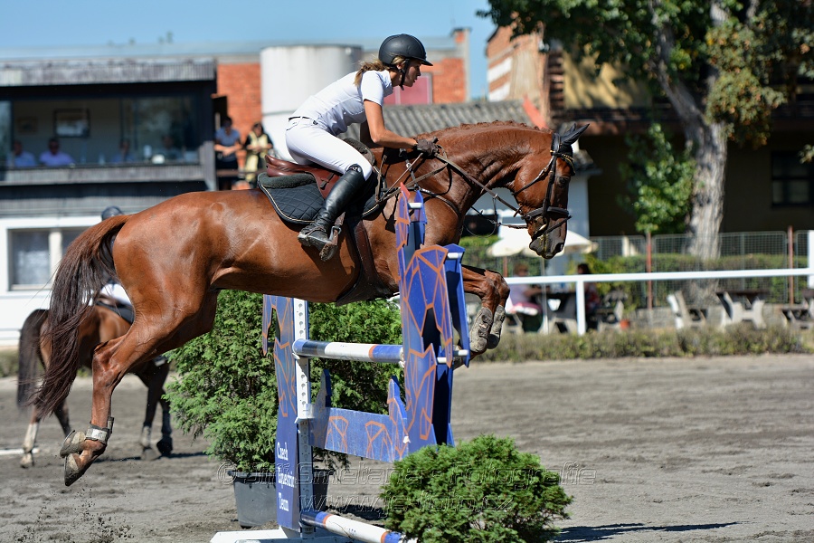 Skoková soutěž na čas - 120 cm