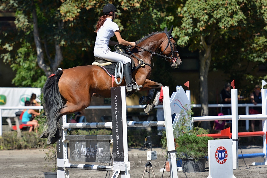 Skoková soutěž na čas - 120 cm