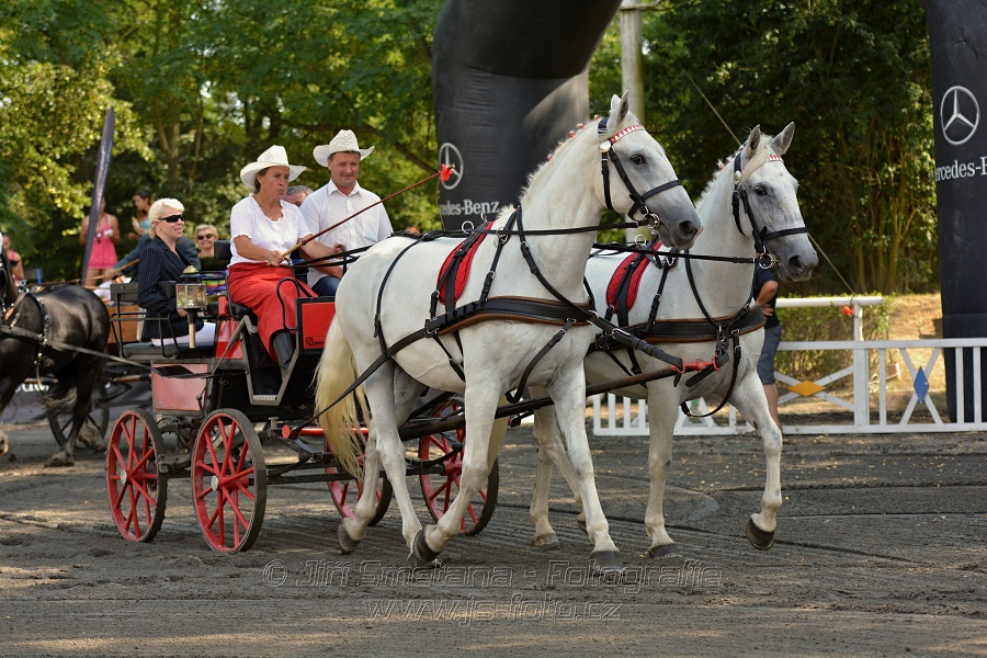 Velká cena města Plzně 2016 - ČSP