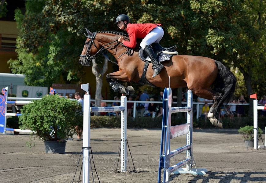 Velká cena města Plzně 2016 - ČSP