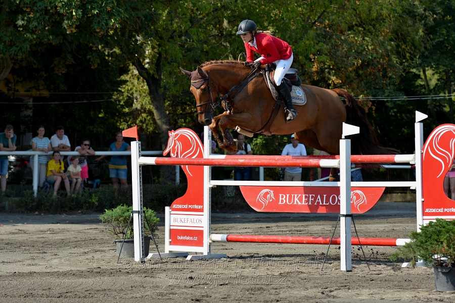 Velká cena města Plzně 2016 - ČSP