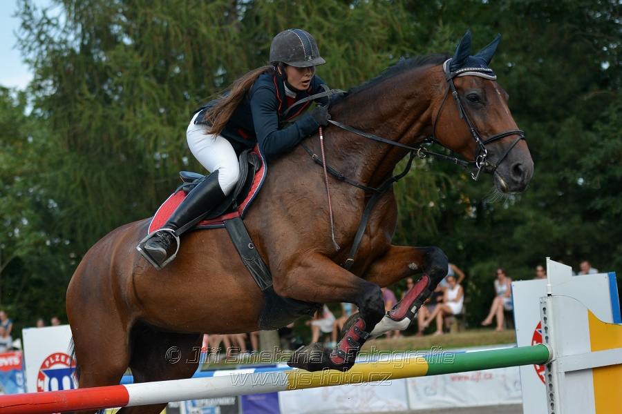Velká cena města Plzně 2016 - ČSP