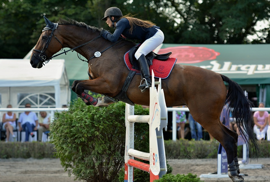 Velká cena města Plzně 2016 - ČSP