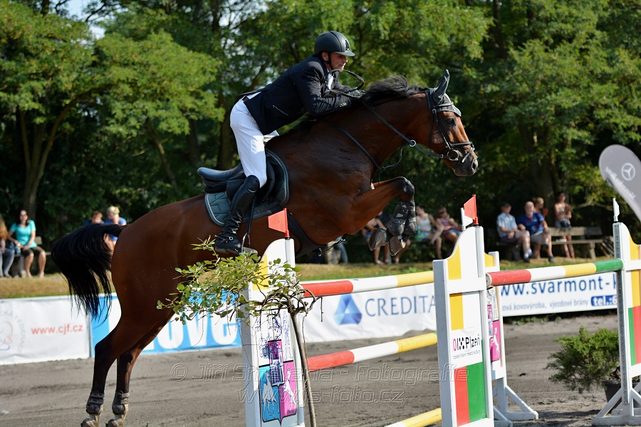 Velká cena města Plzně 2016 - ČSP
