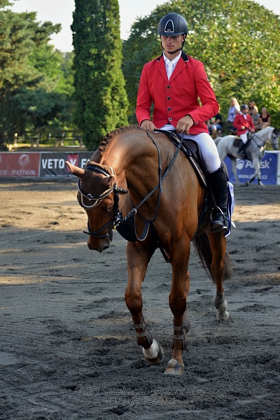 Velká cena města Plzně 2016 - ČSP