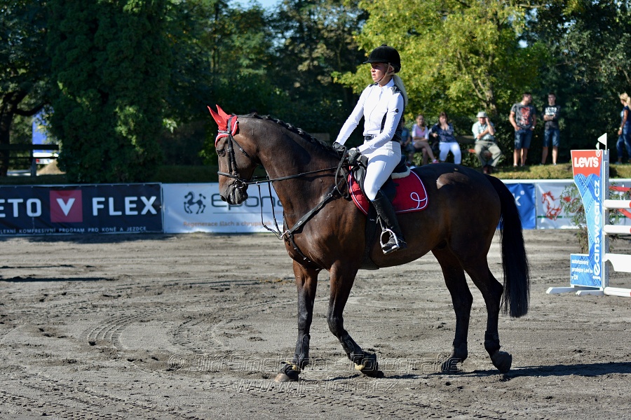 Skoková soutěž stupně 