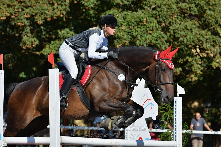 Skoková soutěž stupně 