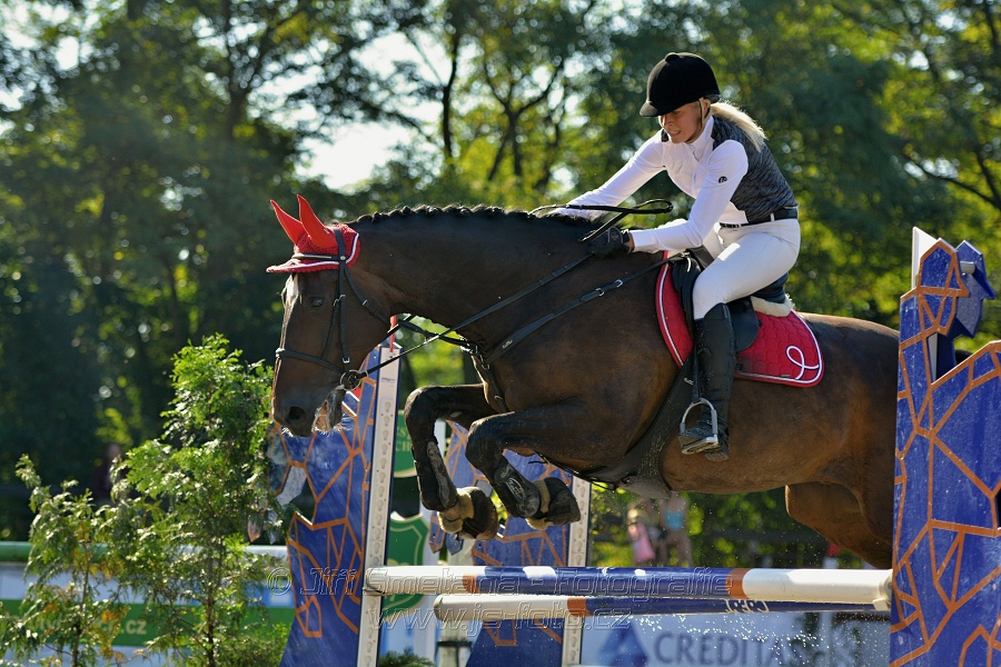 Skoková soutěž stupně 