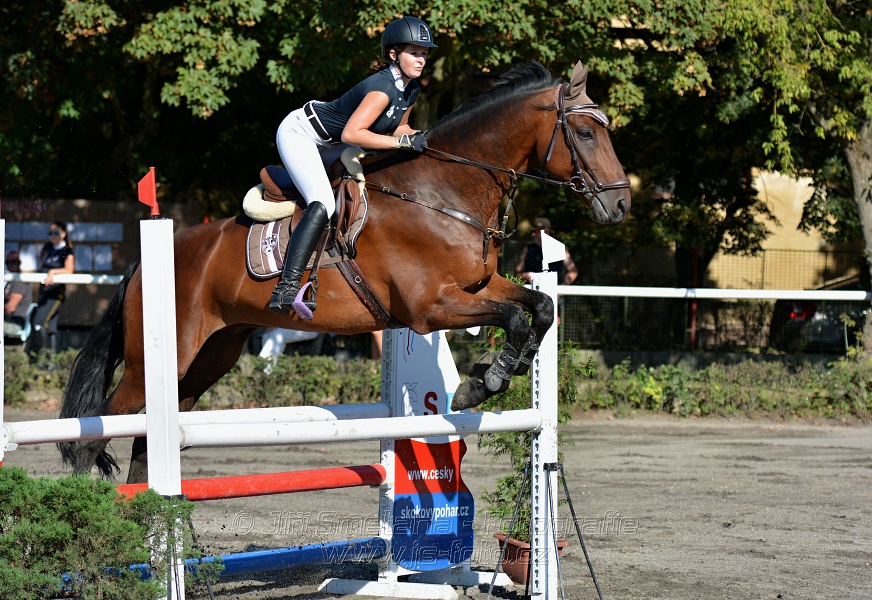 Skoková soutěž stupně 