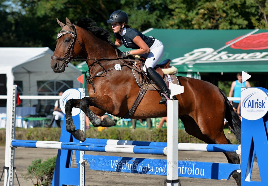 Skoková soutěž stupně 