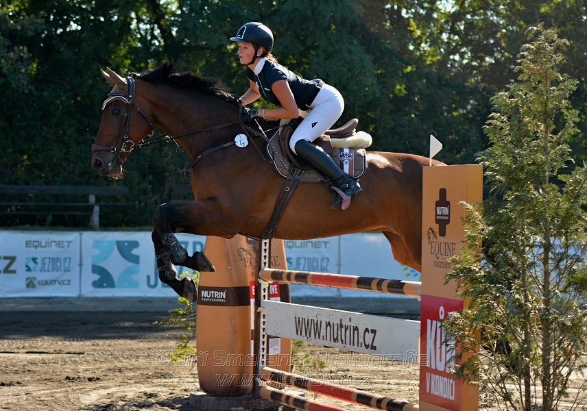 Skoková soutěž stupně 