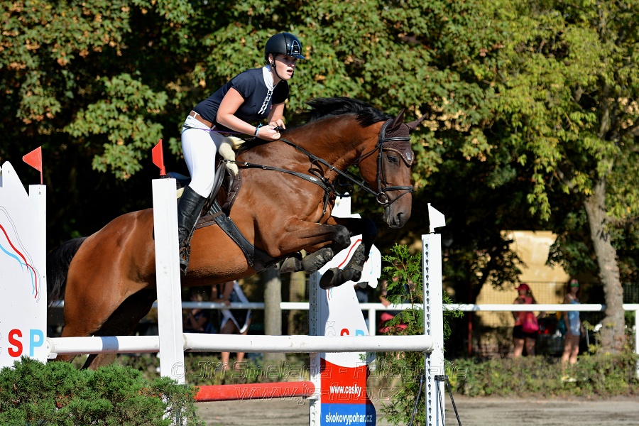 Skoková soutěž stupně 