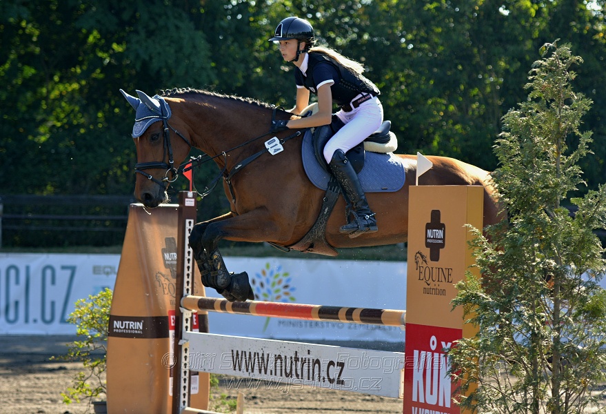 Skoková soutěž stupně 