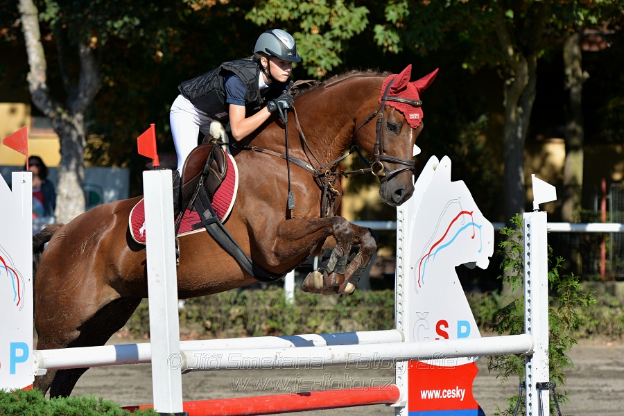 Skoková soutěž stupně 