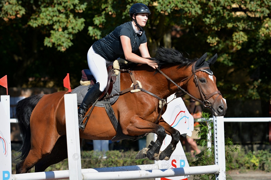 Skoková soutěž stupně 