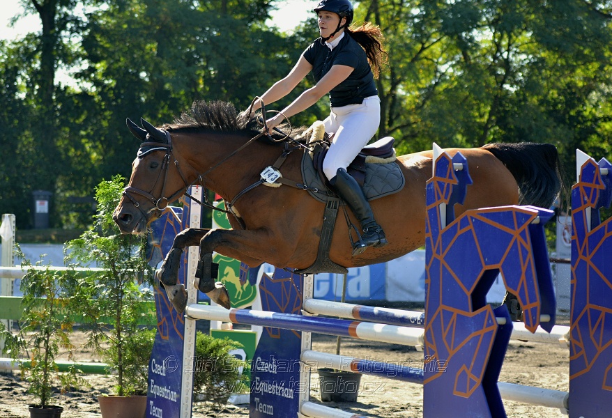 Skoková soutěž stupně 