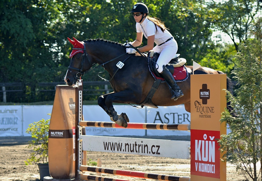 Skoková soutěž stupně 