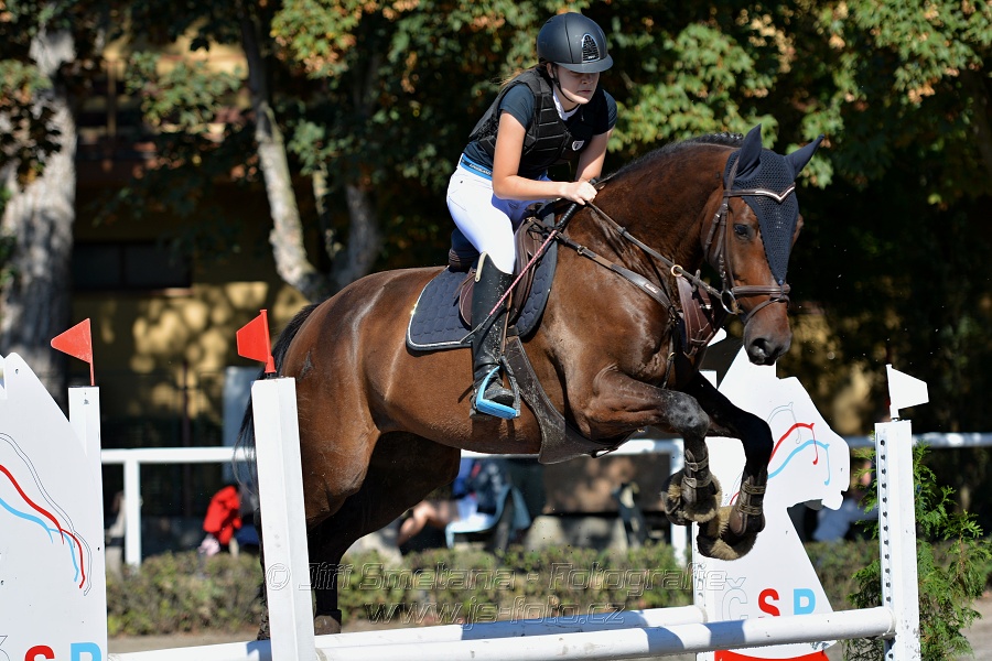 Skoková soutěž stupně 