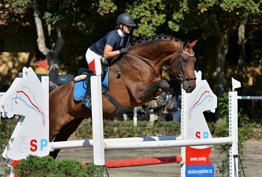 Skoková soutěž stupně 