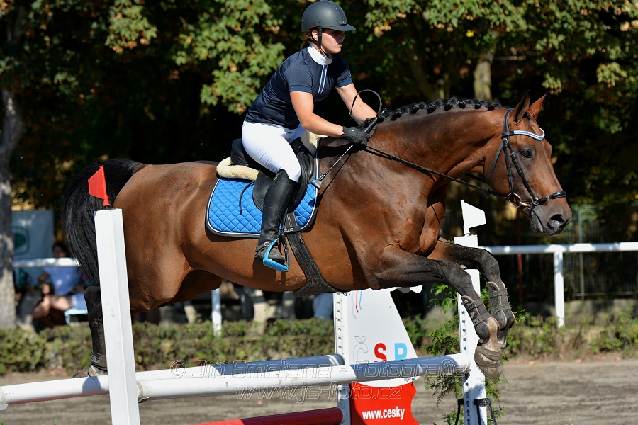 Skoková soutěž stupně 