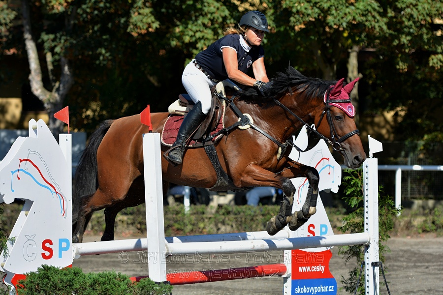 Skoková soutěž stupně 