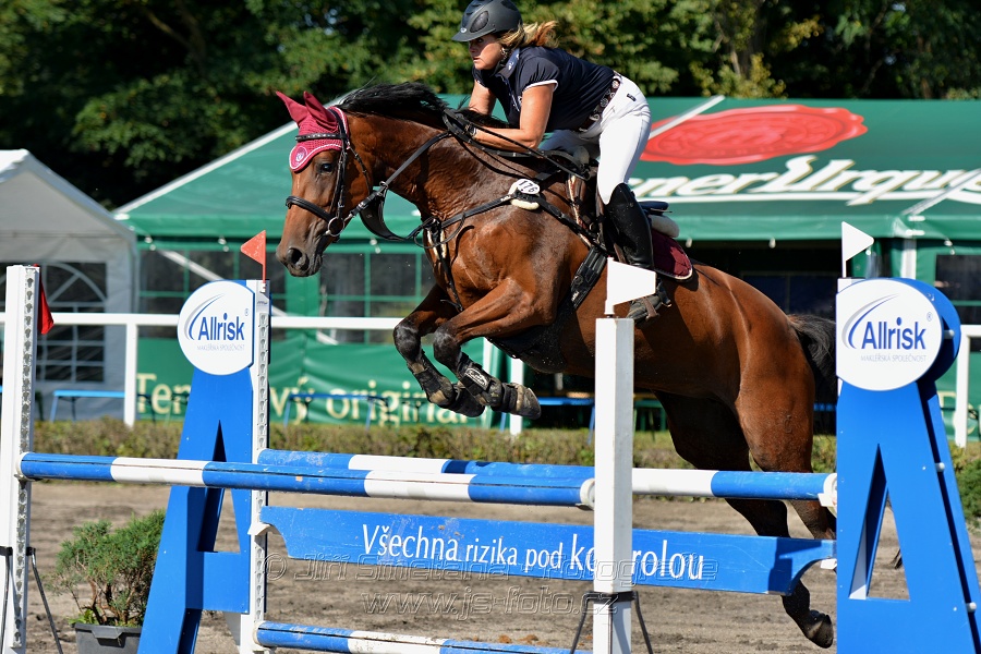 Skoková soutěž stupně 