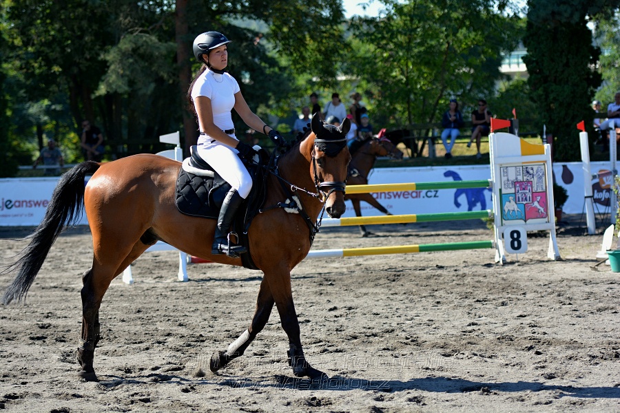 Skoková soutěž stupně 