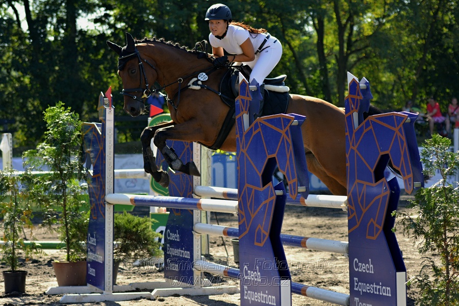 Skoková soutěž stupně 