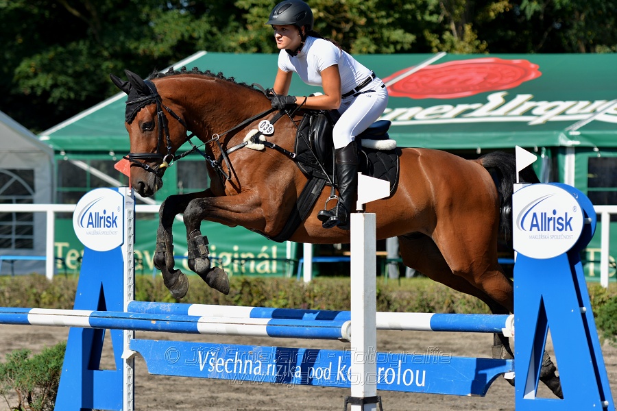 Skoková soutěž stupně 