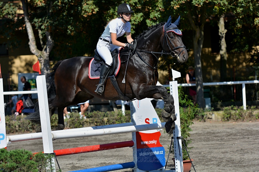 Skoková soutěž stupně 