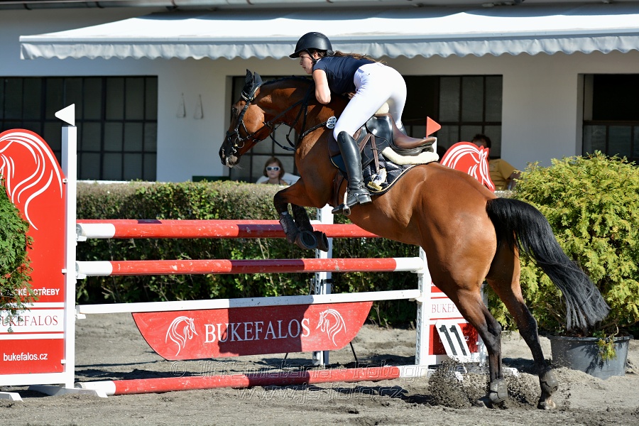 Skoková soutěž stupně 