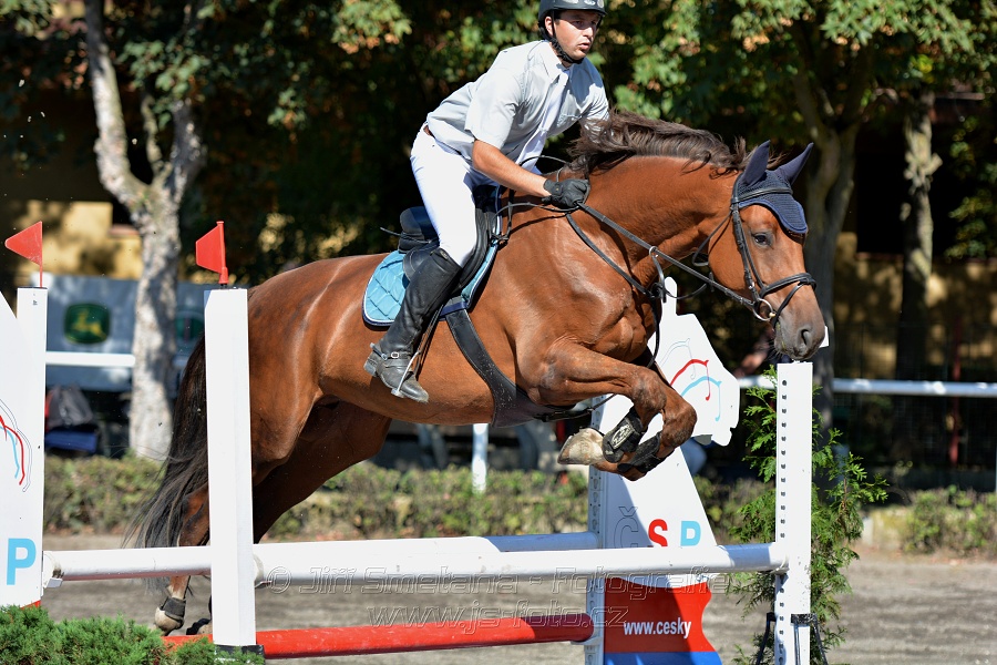Skoková soutěž stupně 