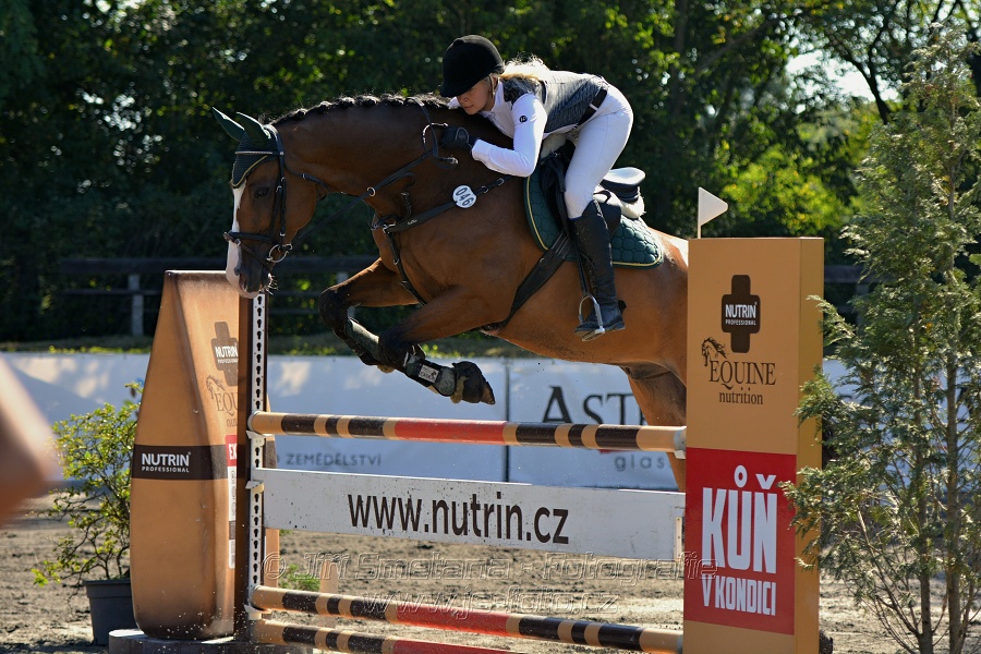 Skoková soutěž stupně 