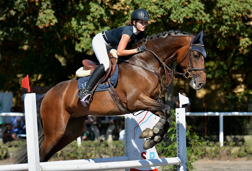 Skoková soutěž stupně 
