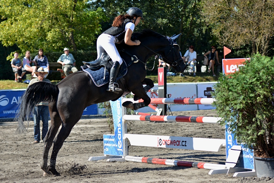 Skoková soutěž stupně 