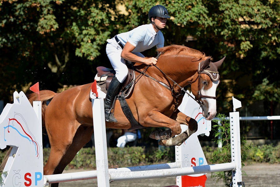 Skoková soutěž stupně 