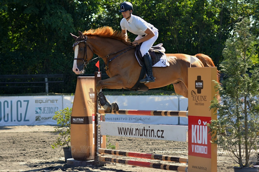 Skoková soutěž stupně 