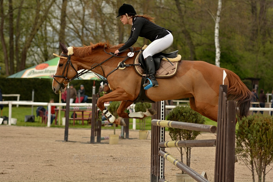 Skoková soutěž stupně „ZL“, bez rozeskakování