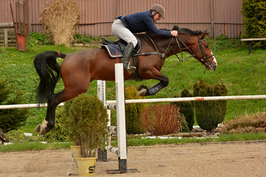 Skoková soutěž stupně „ZL“, bez rozeskakování