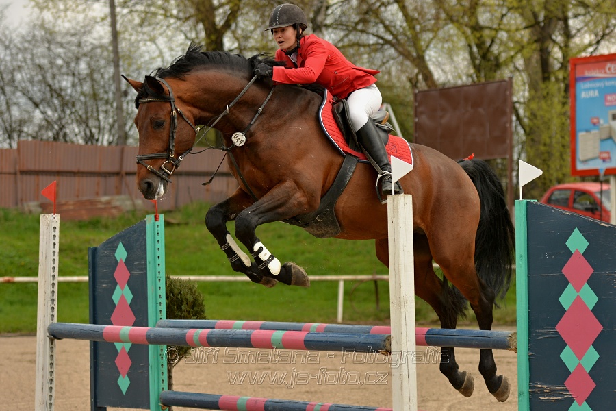 Skoková soutěž stupně „ZL“, bez rozeskakování