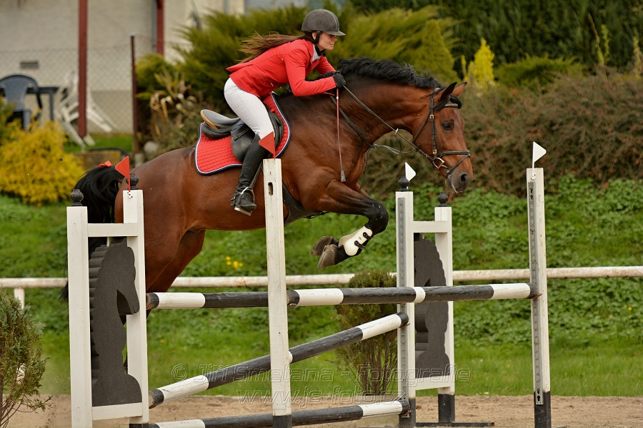 Skoková soutěž stupně „ZL“, bez rozeskakování