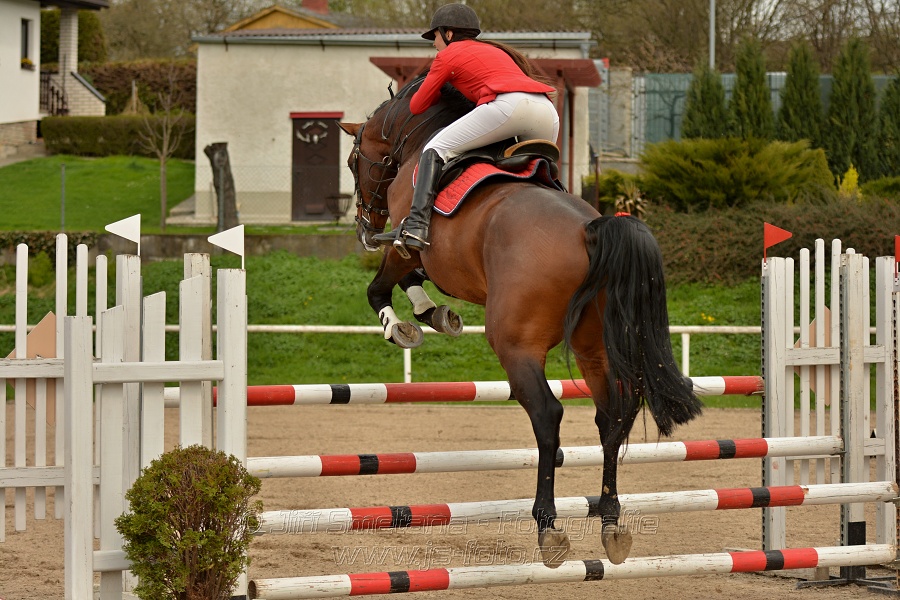 Skoková soutěž stupně „ZL“, bez rozeskakování