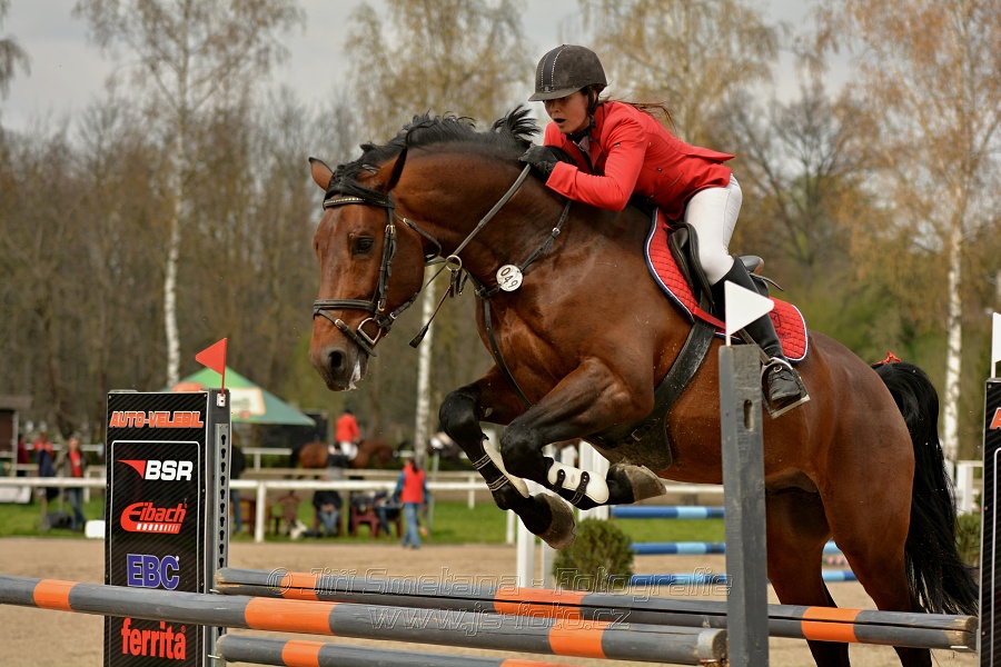 Skoková soutěž stupně „ZL“, bez rozeskakování