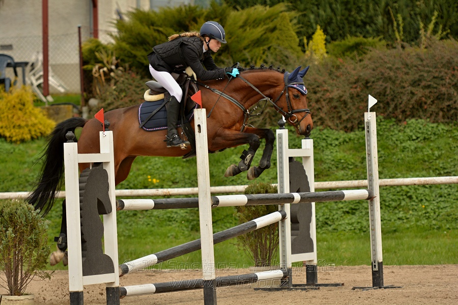 Skoková soutěž stupně „ZL“, bez rozeskakování