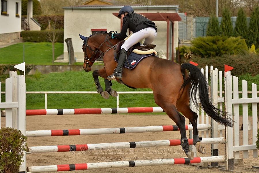 Skoková soutěž stupně „ZL“, bez rozeskakování