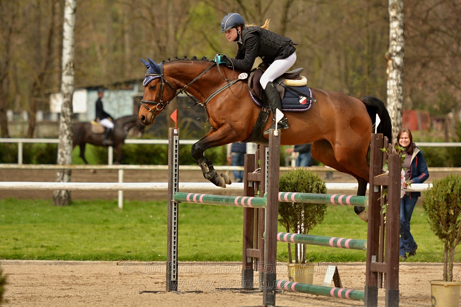 Skoková soutěž stupně „ZL“, bez rozeskakování